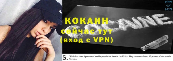 гидра Волоколамск