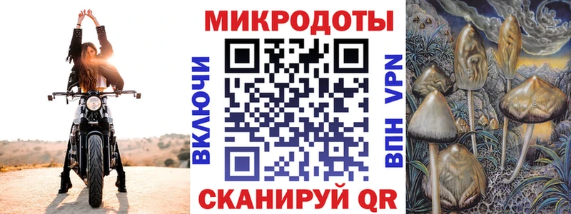 купить наркотик  мега вход  Псилоцибиновые грибы Psilocybine cubensis  Рыбинск 