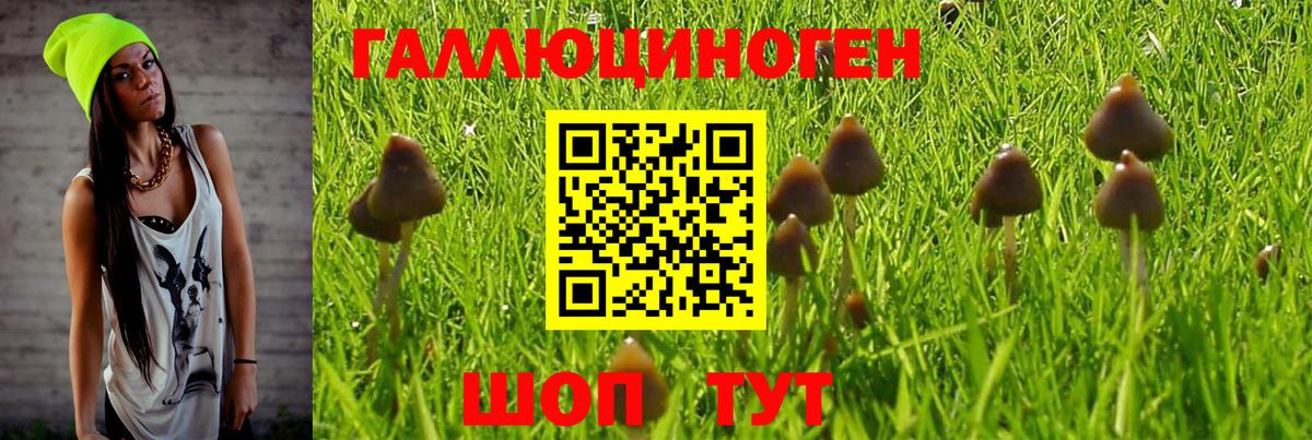 Псилоцибиновые грибы мухоморы Рыбинск
